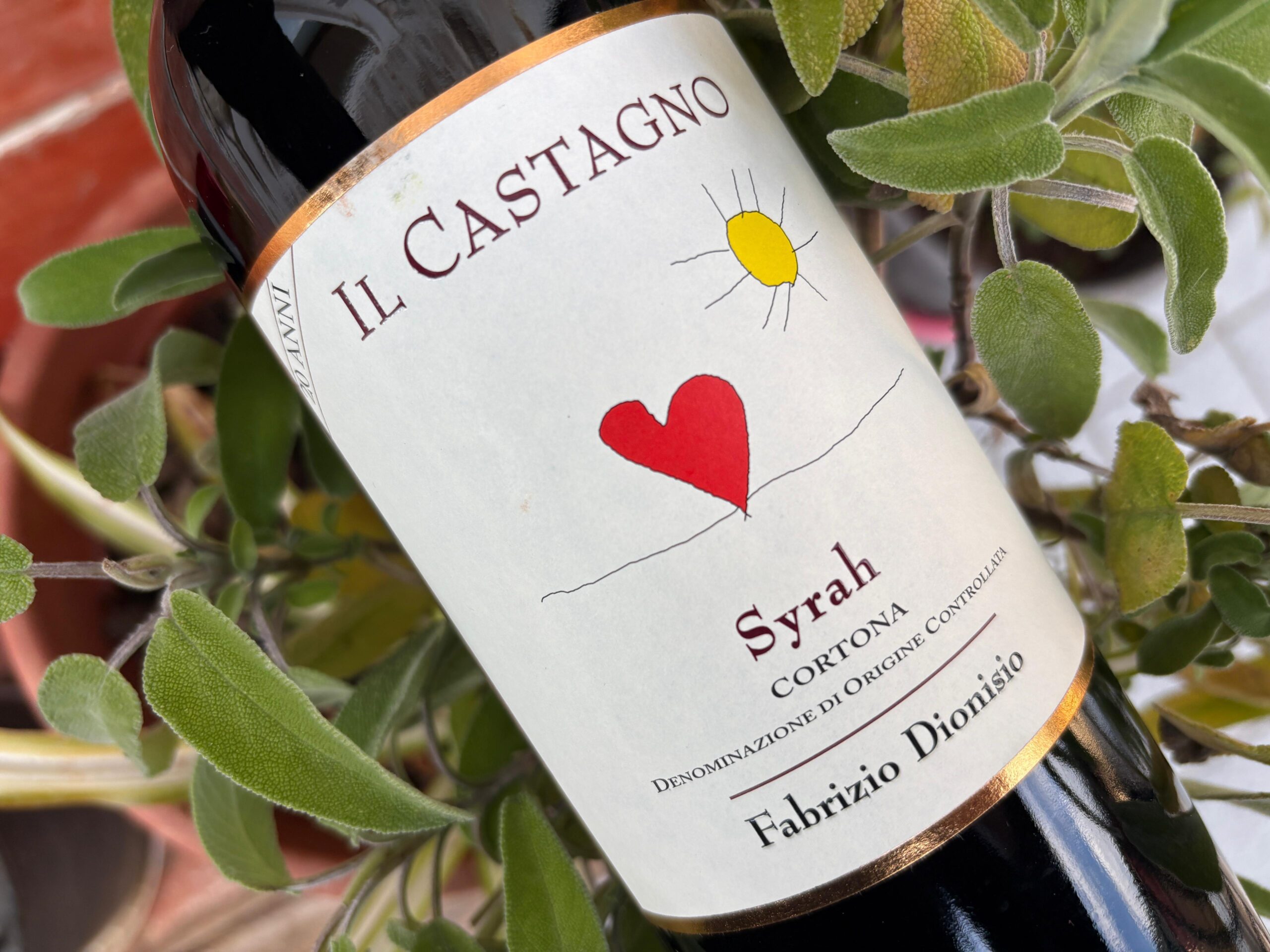 Fabrizio Dionisio – Il Castagno 2022 – 97 Points ZWC