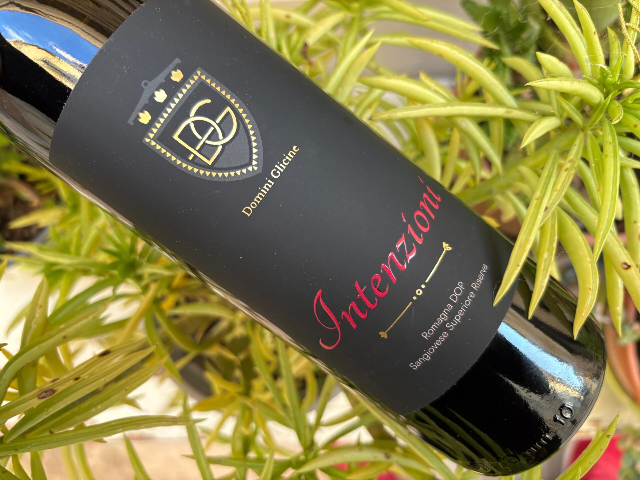 Domini Glicine – Intenzioni 2020 – 93 Points ZWC